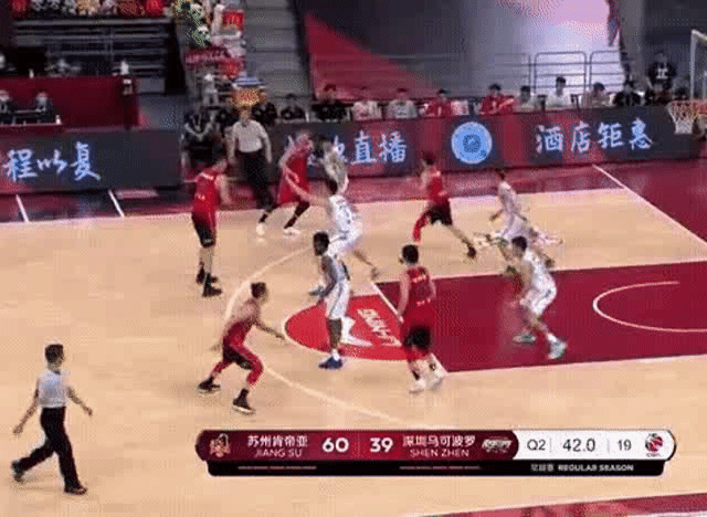 预期|复赛以来4胜4负，表现未达预期的深圳队存在哪些问题？