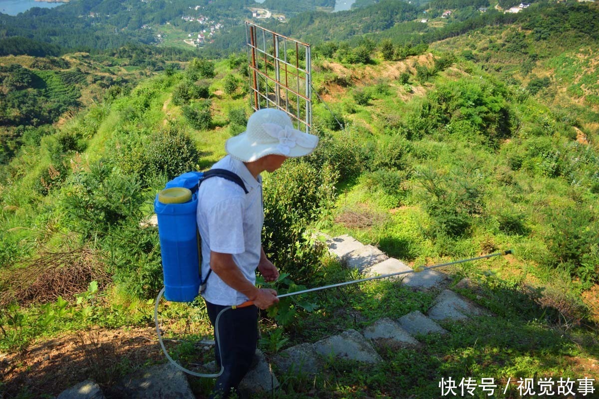 吴大叔|57岁大叔15年前突发疾病,瘫痪在床3年,看现在生活成啥样