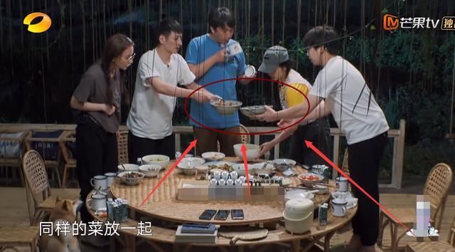 对不起|张子枫公开处理剩菜,看完3个步骤懵了,原来都欠黄磊一句对不起