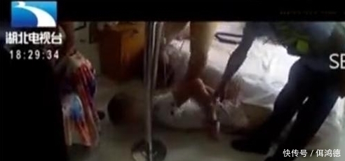  情侣|床下有人……情侣房中遭遇惊魂一刻，居然从床下抓出一“君子”