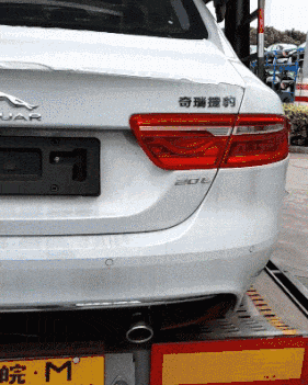 GIF|搞笑GIF：一直在模仿从未被超越，厉害