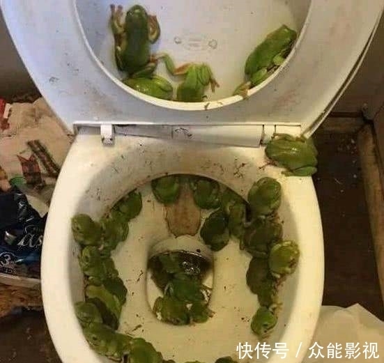 图片|趣味图片幽默段子:大清早的发现地下车库被淹,大家是否感到惊喜