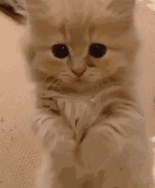 要钱|当你生病了女朋友去医院照顾你?,男生和女生要钱时候的区别