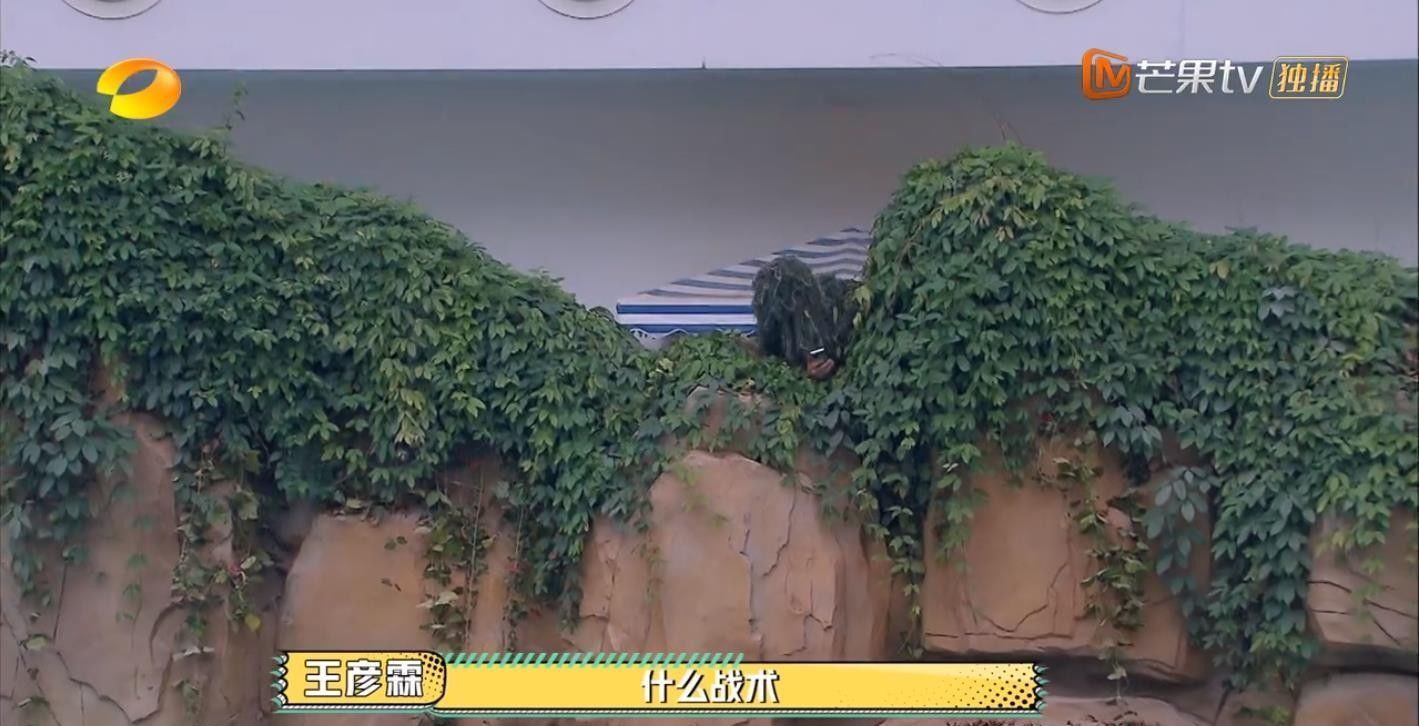  男人|今年最好笑的综艺！胡军杨洋领着一群男人天南海北地玩捉迷藏