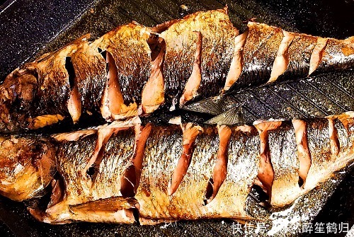 市场|逛海鲜市场,碰上此鱼每次都买,3块钱一斤,比带鱼便宜又好吃