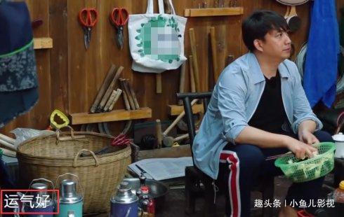  态度|同样是新人扎堆，黄磊为何态度大变，还为谭松韵专门做美食