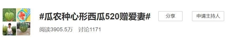 妻子|种个西瓜都是爱你的形状！