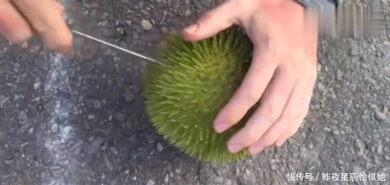 切开|男子捡到巴掌大的榴莲,用刀子切开榴莲掰开一看,高兴坏了