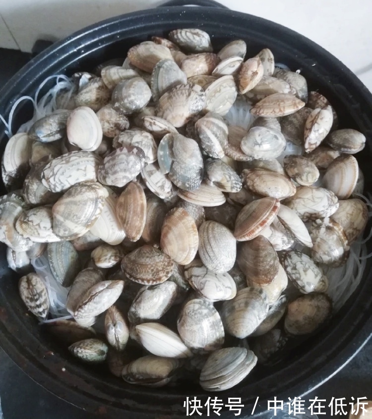 花甲|家庭版花甲粉丝