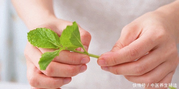 不剩|藏了一夏天的秘方,今天必须安排!好吃到连渣都不剩