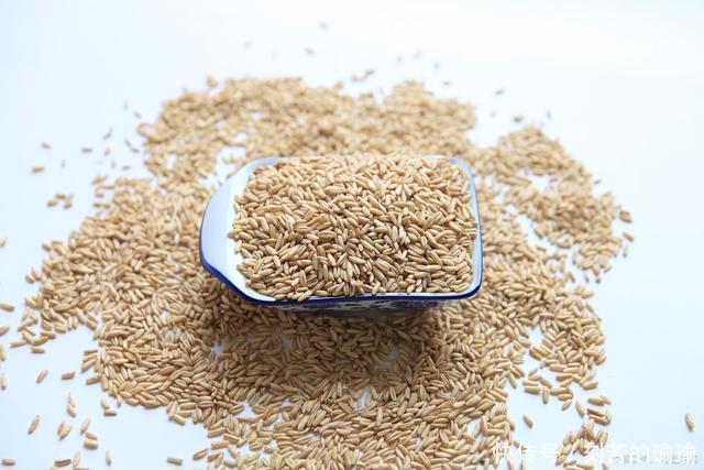 胰岛素|血糖偏高怎么办?5种食物或是“天然胰岛素”,不妨试试