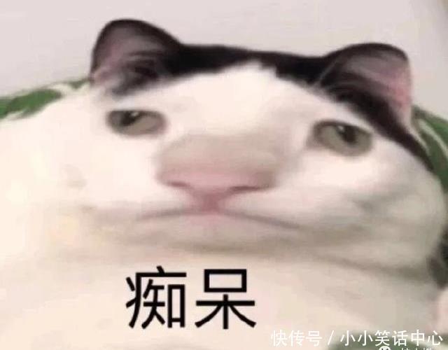  手机|“求大家帮我儿子取个名吧!”网上取名被网友评论笑到窒息哈哈