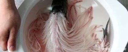 小意思|日本大厨的生鱼片,米其林大厨片面包,中国厨师:小意思