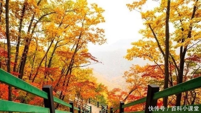 地方|国庆、中秋8天长假去哪儿?这9个地方秋光乍泄美到勾魂