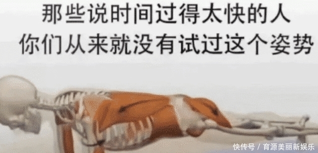 评论|“为啥高级宾馆的浴缸有那么多扶手？”哈哈哈哈哈评论也太坏了