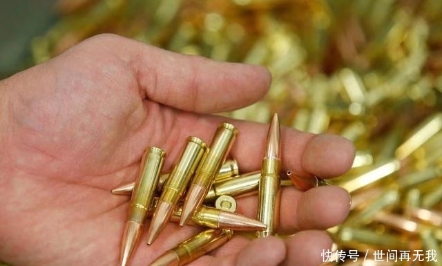 弹药库|弹药库大扫除,德军丢了近10万发子弹,疑似右翼势力特种兵所为