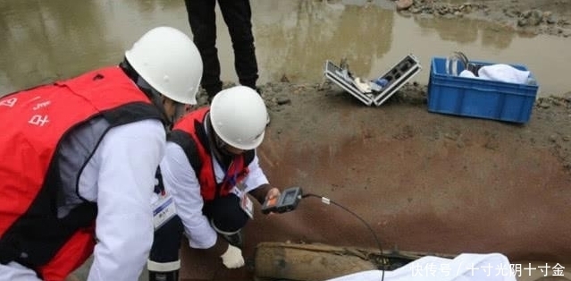 老农|老农在江边捡到枚“金虎”，卖出1300万，3年后被发现惩罚来了