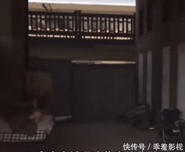 施舍|流浪汉睡高架桥下收废品月入七八千：干嘛要你施舍给我呢？