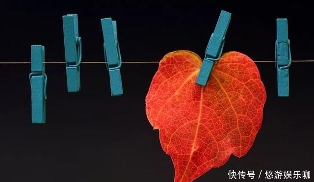 季节|人这一生,最难活出自己的季节