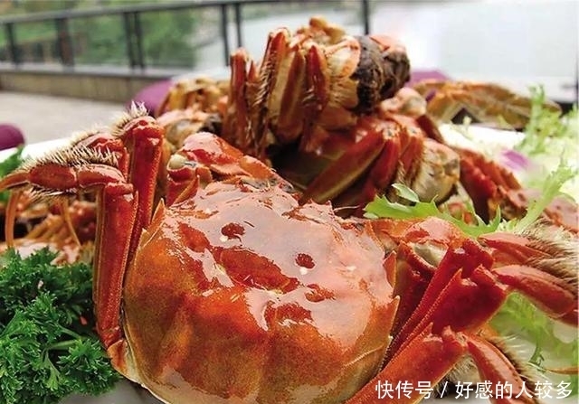 大闸蟹|为什么说阳澄湖的蟹，是中国的顶级食材