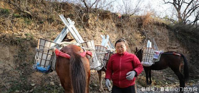  密林|直击“骡马帮”夫妻的真实生活密林深处干活，月收入四万