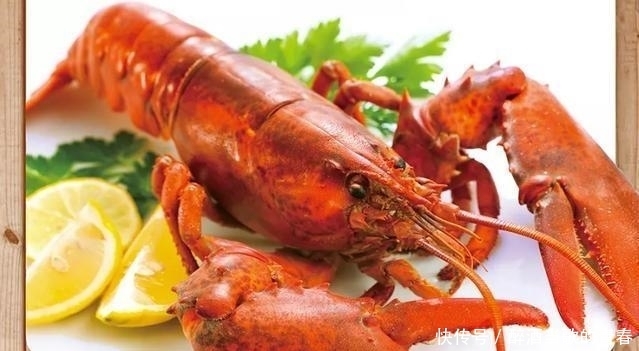 中国|瑞士厨师被龙虾难倒,一定要弄晕再烹饪,中国厨师只用两字就搞定