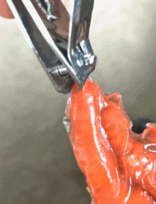 网恋|搞笑GIF:网恋有风险,大家需谨慎,这叫胖吗?差评!