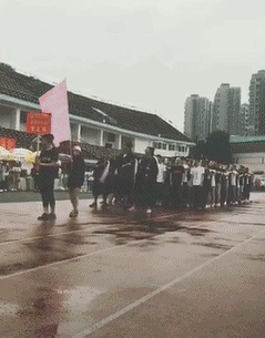 GIF|搞笑GIF:这猫咪长的也太黑了,这晚上都容易踩到