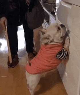 脖子|搞笑GIF:你的脖子还好吗