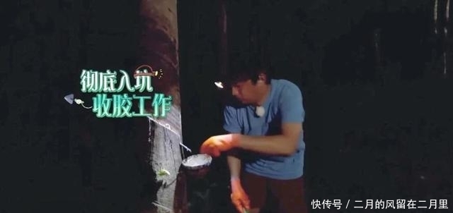 无奈|《向往4》提了意见,后被打脸,黄磊也是很无奈