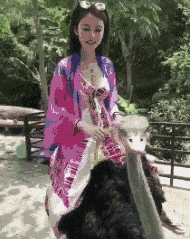 搞笑|搞笑GIF：这胖姐姐估计得单身一辈子