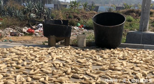 美食|老妈从乡下寄来一堆土特产,婆婆却看不上,邻居你真不识货!