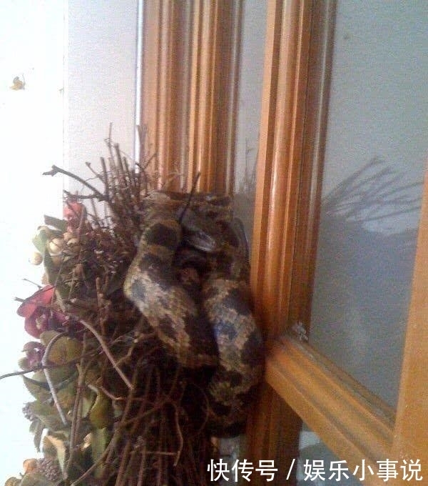  剧痛|男子出门上班，刚出门头顶传来剧痛，伸手一摸魂都飞了