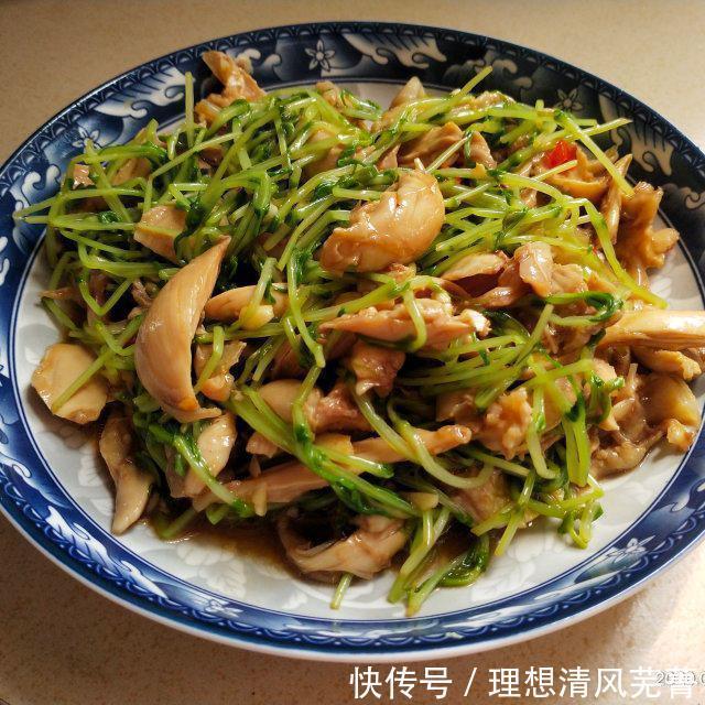 鸡腿|凉拌鸡丝,夏季最爱的凉拌菜,没有之一