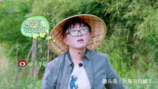  反感|《向往的生活》观众最反感的四位嘉宾和观众最喜欢的四位嘉宾