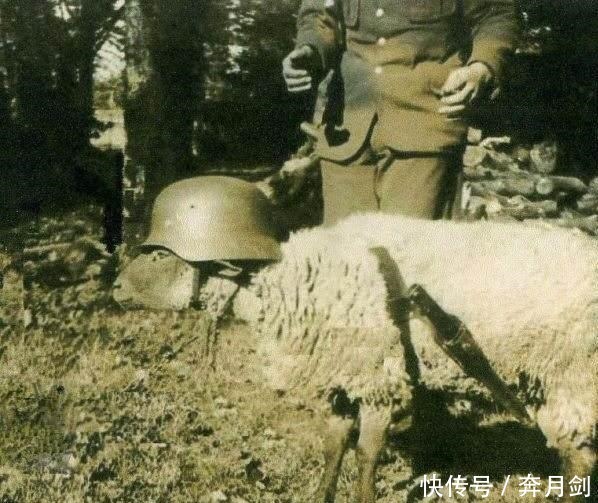 政治|军事搞笑系列，带你感受别样的欢乐