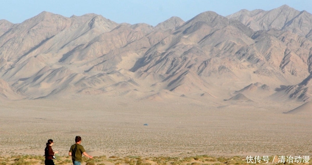  自然保护区|你可能误解了什么！可可西里不是诗和远方，这里有狼、熊、豹……