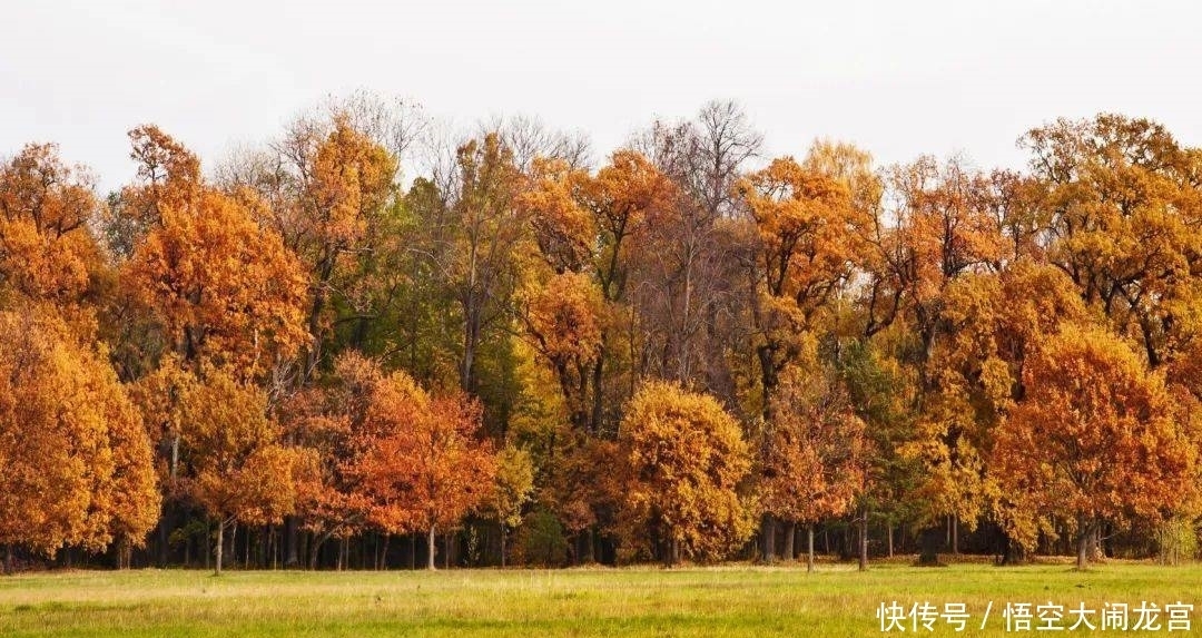 心生|曾国藩：相由心生，你的脸就是你的命