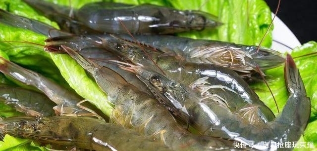 冰箱|保存鲜虾,不要直接放冰箱,贩子教你一招,放多久都和新鲜的一样