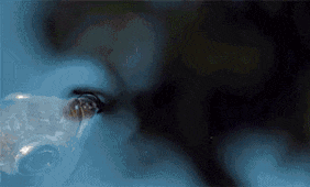 奔跑|搞笑GIF趣图:兄弟,尽情奔跑吧,滑雪橇肯定不会断的!