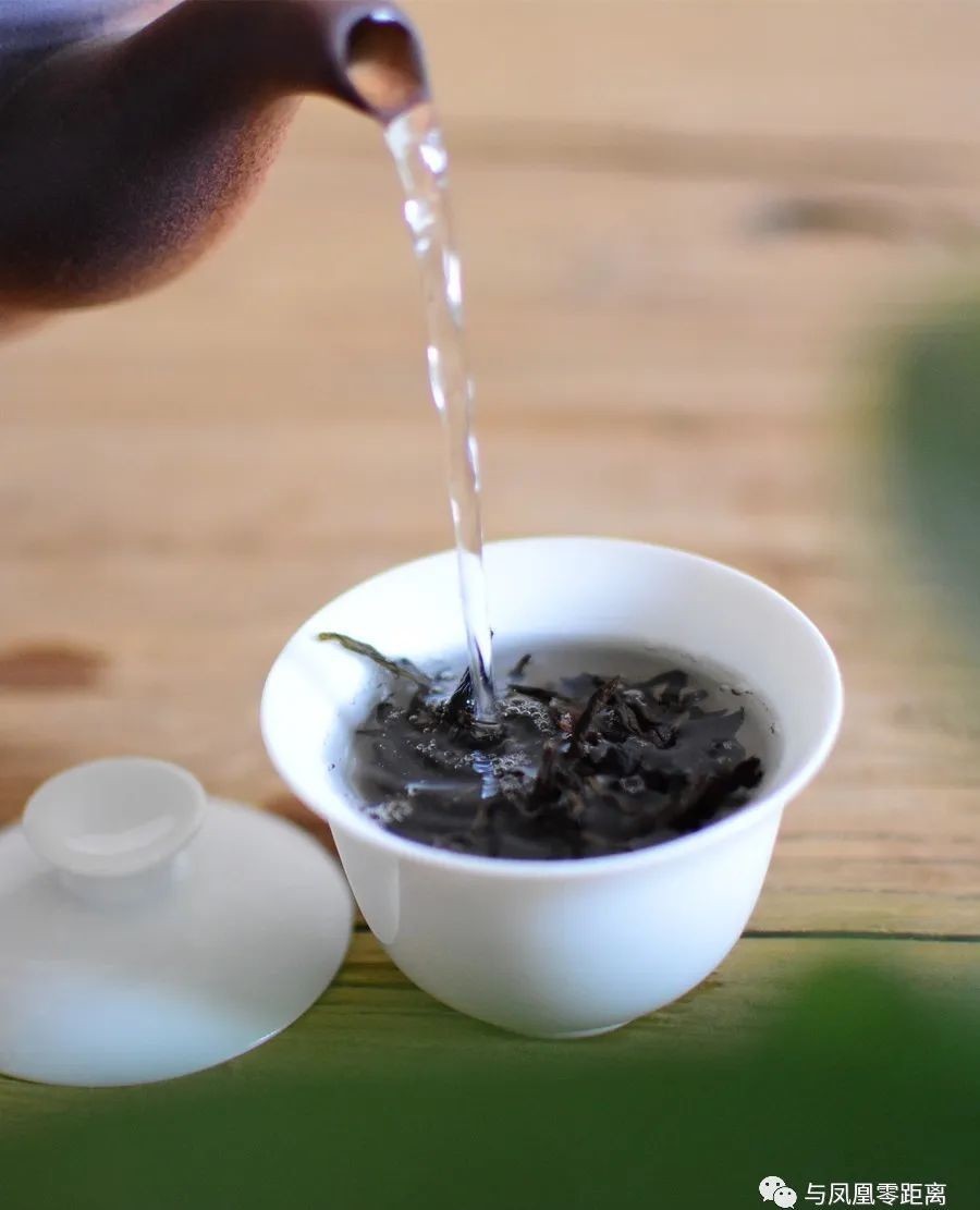 辣味|这茶有点生姜辣味,单丛茶…