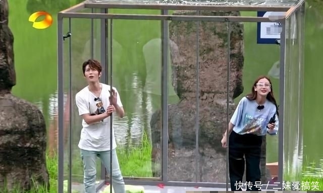 巧手|《巧手神探》节目组对baby太照顾,然而却没有考虑陈学冬有多受伤