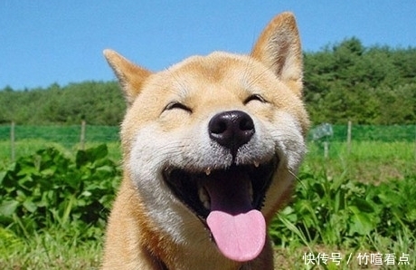 前男友|今天藏私房钱,无意间看到一个小本子,上面写着前男友。