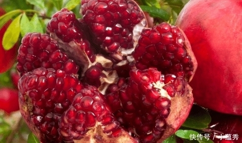 石榴皮|你家有晒干的石榴皮吗?作用真多,花钱也难买到,不懂可惜了