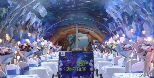 华夏文旅海|每年这一天,浪漫都溢出了海洋公园!