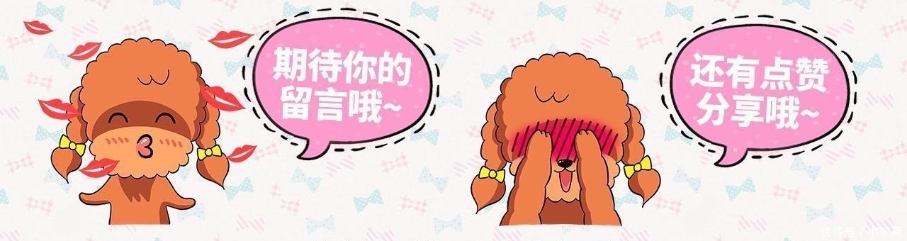 沙发|看到狗子犯错后一副这么无辜的表情, 铲屎官都下不了手!