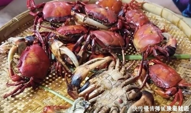 特别|大娘挑担卖“它”,8元一只没人买,我300全包了,掰开后很惊喜