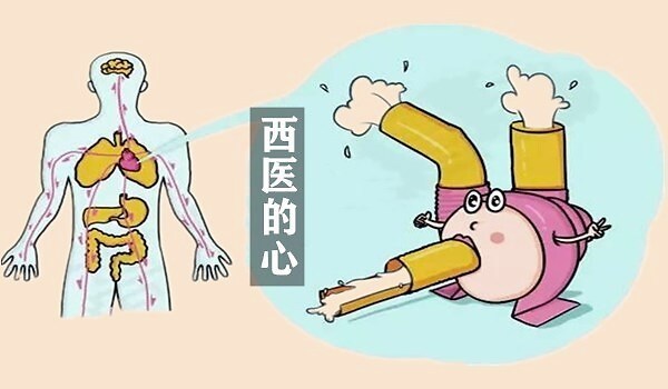 早餐|大白话说中医第七十五期|五脏之母是脾胃,七味早餐来防卫