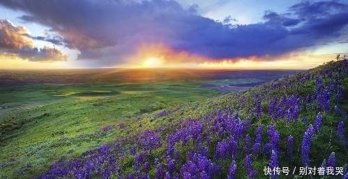  钞票|9月上旬，开门大吉，富贵难挡，横财大奖连续发，钞票堆成山生肖