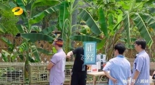 嘉宾|《向往的生活》蘑菇屋再试营业 嘉宾更是惊喜不断